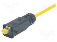 Connector: ix Industrial; Cat: 6a 