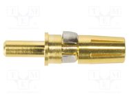 Connector DIN Signal female contact power 40A str HARTING