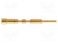 M23 connector M23 P male-c 1mm (0,75–1,5mm?) Au HARTING