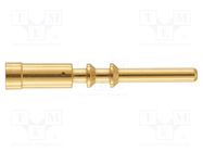 M23 connector M23 P male-c 2mm (2,5 – 4mm?) Au HARTING