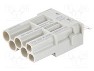 Connector: HDC; module; female; Han-Modular®; PIN: 6(4+2); crimped 