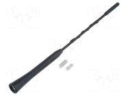 Antenna mast; 0.24m; M5,M6; inside; AM,FM 4CARMEDIA