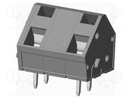 PCB terminal block; angled 45°; 10mm; ways: 2; on PCBs; terminal AMPHENOL ANYTEK