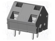 PCB terminal block; angled 45°; 10.16mm; ways: 2; on PCBs; tinned AMPHENOL ANYTEK