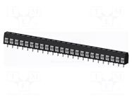 Connector: PCB terminal block; terminal; TC; PIN: 24; on PCBs; 1x24 AMPHENOL ANYTEK