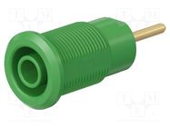 Connector: 4mm banana; socket; 24A; 1kV; green; gold-plated STÄUBLI