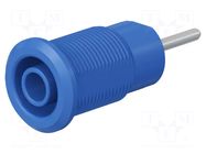 Connector: 4mm banana; socket; 1kV; 24A; blue; nickel plated STÄUBLI