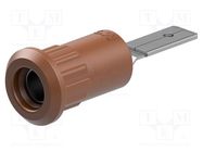 Connector: 4mm banana; socket; 25A; 30VAC; 60VDC; brown; on panel STÄUBLI