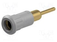 Connector: 4mm banana; socket; 25A; 30VAC; 60VDC; grey; gold-plated STÄUBLI