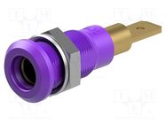 Connector: 4mm banana; socket; 25A; 30VAC; 60VDC; violet; on panel STÄUBLI