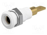 Connector: 4mm banana; socket; 25A; 30VAC; 60VDC; white; on panel STÄUBLI