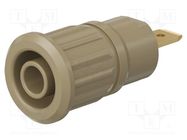 Connector: 4mm banana; socket; 24A; 1kV; brown; gold-plated; 12.2mm STÄUBLI