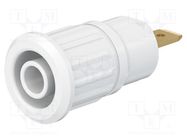 Connector: 4mm banana; socket; 24A; 1kV; white; gold-plated; 12.2mm STÄUBLI