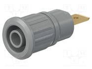 Connector: 4mm banana; socket; 32A; 1kV; grey; gold-plated STÄUBLI