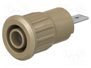 Connector: 4mm banana; socket; 24A; 1kV; Cutout: Ø12.2mm; brown STÄUBLI