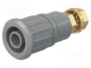 Connector: 4mm banana; socket; 32A; 1kV; grey; gold-plated STÄUBLI