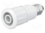 Connector: 4mm banana; socket; 32A; 1kV; white; nickel plated STÄUBLI