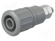 Connector: 4mm banana; socket; 32A; 1kV; grey; nickel plated STÄUBLI