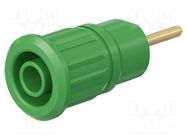 Connector: 4mm banana; socket; 24A; 1kV; L: 35.5mm; green; on panel STÄUBLI