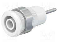 Connector: 4mm banana; socket; 24A; 1kV; L: 35.5mm; white; on panel STÄUBLI