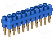 Socket strip; 2mm banana; blue; 70VDC; 10A; 33VAC; Sockets: 20; 6mm STÄUBLI