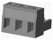 Pluggable terminal block; 7.62mm; straight; plug; female; UL94V-0 AMPHENOL ANYTEK