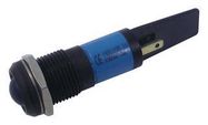 NEON INDICATOR, 240V, BLUE