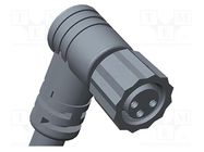 Connector: M8; plug; female; angled; cables; -20÷80°C; IP67; PIN: 4 AMPHENOL LTW