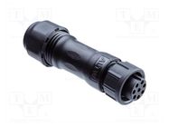 connector ABD-08BFFC-SL7AP0 AMPHENOL LTW