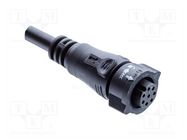 connector BBD-06AFFM-QL8F01 AMPHENOL LTW