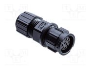 connector CD-08BMFA-LL7001 AMPHENOL LTW