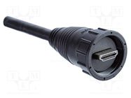 connector HP-19AFMM-SL7A01 AMPHENOL LTW