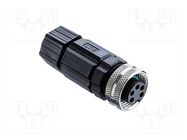 connector MN-05BFFB-SL7001 AMPHENOL LTW