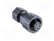 connector PWE-07BFFA-SL7001 AMPHENOL LTW