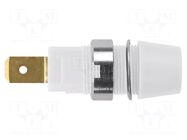 Connector: 4mm banana; socket; 32A; 1kV; white; gold-plated; screw SCHÜTZINGER