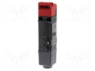 Safety switch: key operated; D4SL-N; 2NC/1NO + 2NC; IP67; plastic OMRON