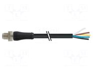 Cable: for sensors/automation; M12; PIN: 5; straight; 10m; plug MURRELEKTRONIK
