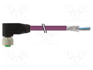 Connecting cable; female; 7000; IP67; 60VAC; 60VDC; 4A; 5m; PIN: 5 MURR ELEKTRONIK