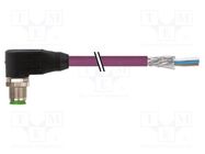 Connecting cable; male; 7000; IP67; 60VAC; 60VDC; 4A; 3m; PIN: 5; plug MURR ELEKTRONIK