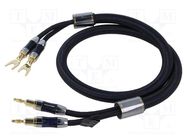 Cable; banana plug x2,fork terminal 2x; 1m; Plating: gold-plated VENTION