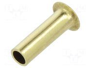 Rivet; brass; Rivet diam: 2.5mm; L.rivet: 8mm; BN 572; DIN 7340A BOSSARD
