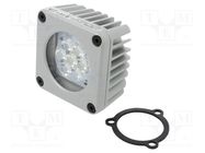 Lamp: machine light; 8.5W; 60000h; 15°; 5000K; -10÷50°C; IP67; 24VDC LED2WORK