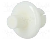 Rivet; polyamide; L.rivet: 6.1mm; Panel cutout diam: 6.1mm; white DREMEC