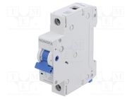 Circuit breaker; 230/400VAC; Inom: 32A; Poles: 1; Charact: C; 4.5kA HONGFA RELAY