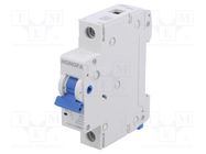 Circuit breaker; 230/400VAC; Inom: 6A; Poles: 1; Charact: B; 6kA HONGFA RELAY