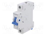 Circuit breaker; 230/400VAC; Inom: 32A; Poles: 1; Charact: C; 6kA HONGFA RELAY