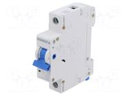 Circuit breaker; 230/400VAC; Inom: 4A; Poles: 1; Charact: C; 6kA HONGFA RELAY