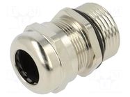 Cable gland; PG13,5; IP68; brass BM GROUP