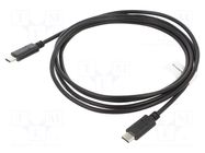 Cable; USB 2.0; USB C plug,both sides; gold-plated; 1.8m; black LANBERG