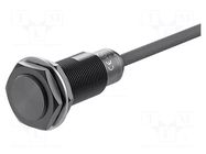 Sensor: inductive; OUT: PNP / NO; 7mm; 10÷30VDC; M18; IP66; 100mA AUTONICS